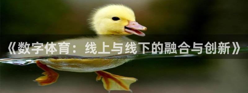 黑白体育直播间