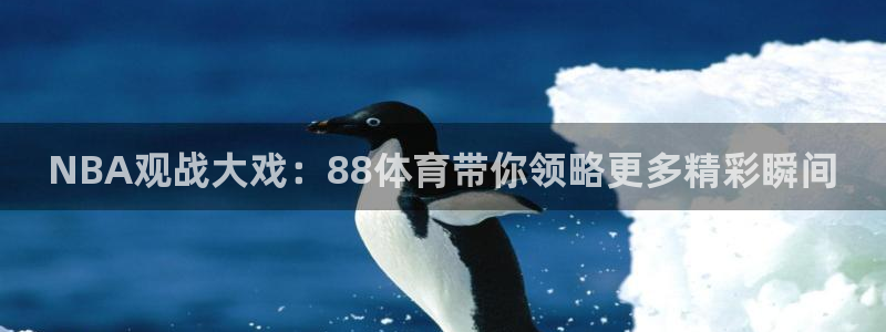 黑白体育高清直播