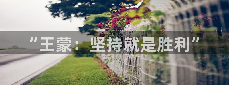 nba在线直播免费观看直播黑白直播：“王蒙：坚持就是胜利”
