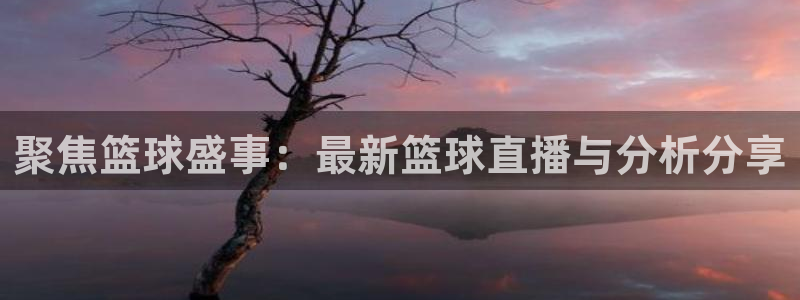 黑白体育直播官网：聚焦篮球盛事：最新篮球直播与分析分享