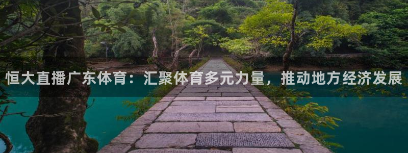 足球比赛黑白直播：恒大直播广东体育：汇聚体育多元力量，推动地方经济发展