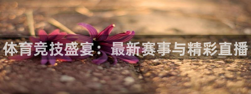 黑白直播nba直播：体育竞技盛宴：最新赛事与精彩直播