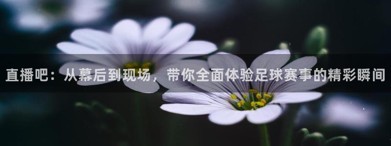 黑白直播在线篮球：直播吧：从幕后到现场，带你全面体验足球赛事的精彩瞬间